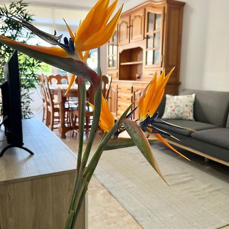 Piso Centrico Corazon De Aridane Apartment Los Llanos De Aridane Bagian luar foto